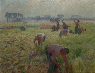 Récolte du lin